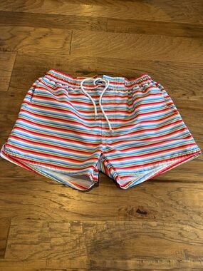 2xist Men's Swim Trunks - Red, Blue, Yellow, Green Stripes. 3.5” inseam.